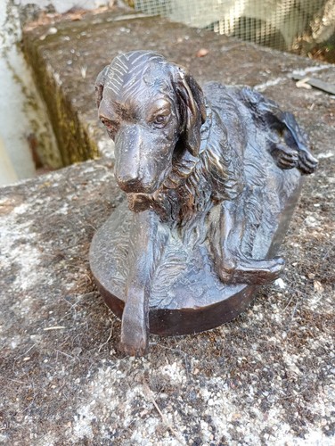 Sculpture chien bronze - bronze, massif