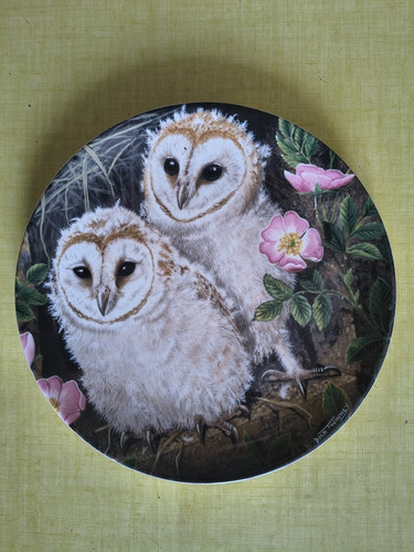 Assiette the baby - the, owls