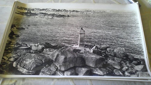 Photo lapie aerienne 45 - photo,