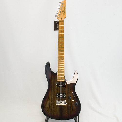 Guitare western ibanez - guitare,