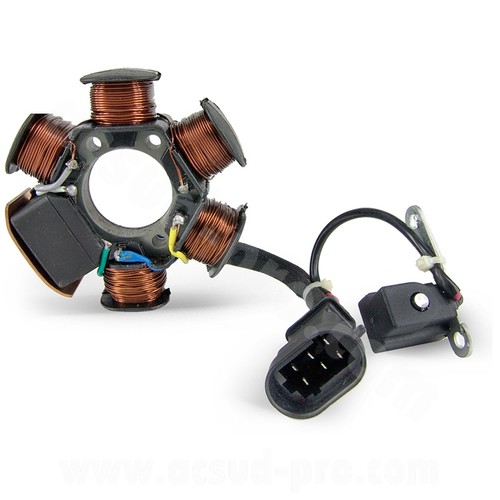 Stator allumage scoot