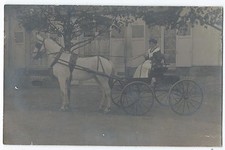 BM765 Carte Photo vintage card RPPC Animaux cheval blanc chariot correspondance
