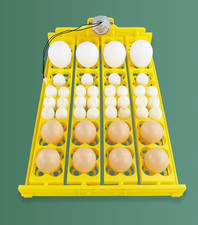 Incubateur De 24 Œufs 12V