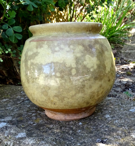 Ancien pot miel confit - ,