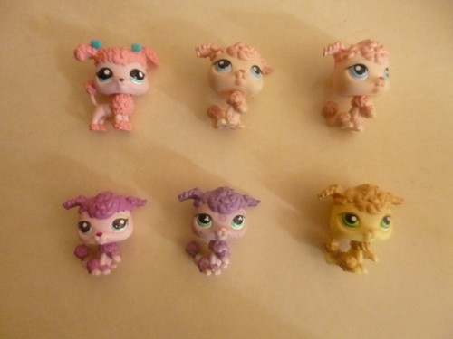 Littlest pet shop authentic - littlest,