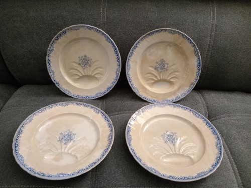 Lot assiettes asperges - asperges, en