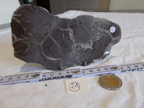MINERAUX.FRANCE.SEPTARIA.DROME