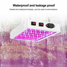 Lampes de culture à LED pour