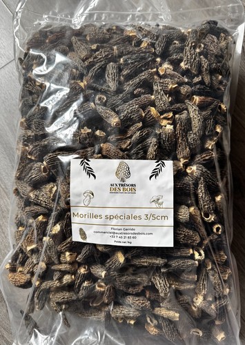 Morilles séchées extra - séchées,