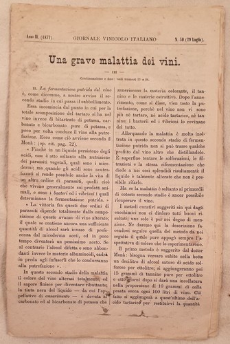 Journal vinicole italien - italien, 29
