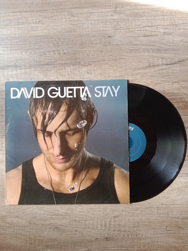 David guetta stay - stay, maxi