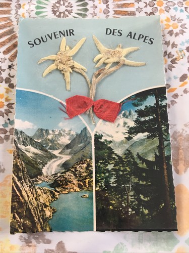 Ancienne cpa carte postale - cpa,