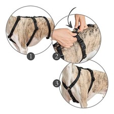 Harnais Pour Chien Hunter