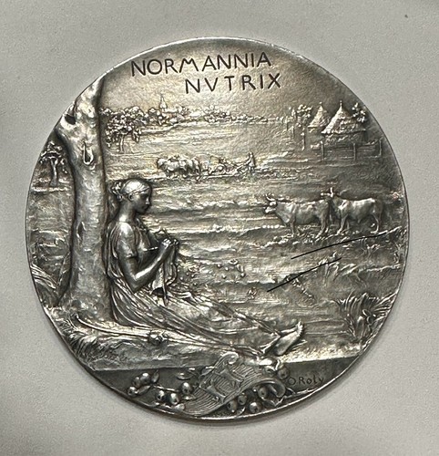 Médaille exposition nationale - médaille,