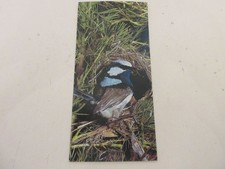 FICHE 505 PHOTO ANIMAUX OISEAU Le MALURE - L'ENTRAIDE