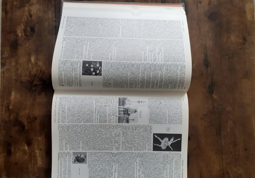 Dictionnaire encyclopédique - dictionnaire,