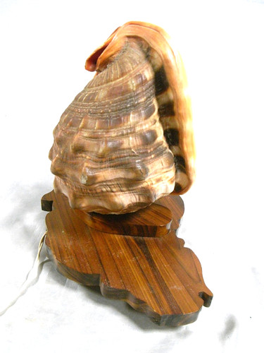 Ancienne lampe - ancienne,