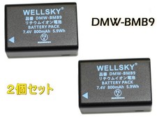 Panasonic DMW-BCJ13 Pack de 2