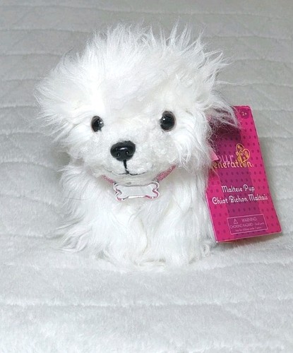 Our generation maltese pup - our,