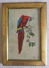 TABLEAU - peinture à l'huile originale - le perroquet