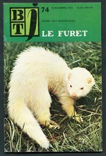 Btj magazine bibliothèque - btj,