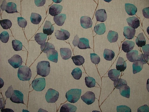 Eucalyptus arbre feuille - eucalyptus,