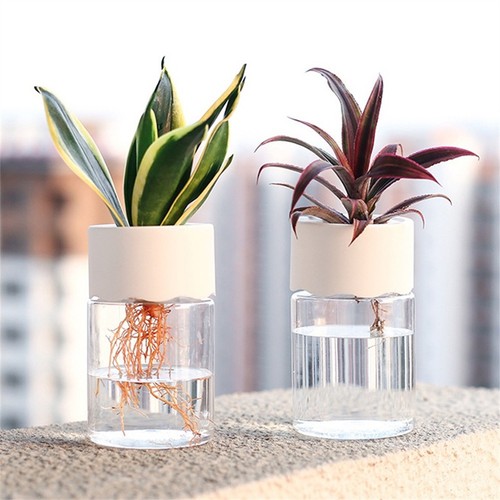 Pots plantes utiles - pots,
