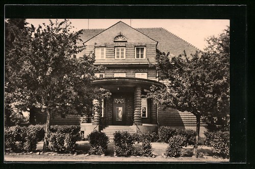 Griffe ours lausitz - d'ours,
