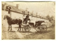 Calèche , cheval , cocher -  Photographie albuminée