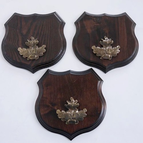 Pièces écu 19cm - 3,