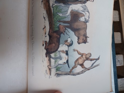 Livre ancien rare - livre,