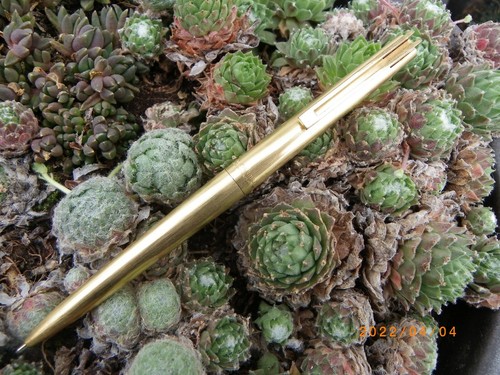 Ancien stylo bille waterman - stylo,