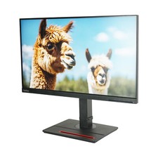 Lenovo ThinkVision Moniteur