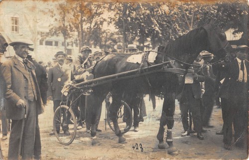 Cpa hippisme carte photo - /,