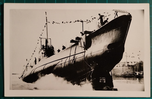 Photo sous marine morosini - marine,