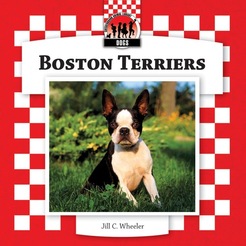 Boston terriers - set, 8)