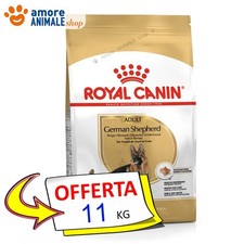 Royal Canin Chien → Adult