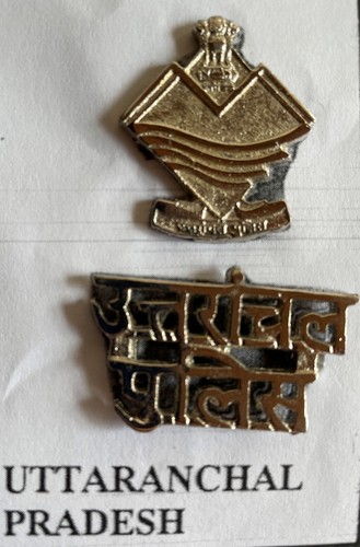 Badge coiffe epaulette etat - badge,