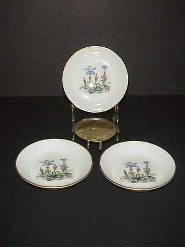 Royal worcester fine bone - royal,