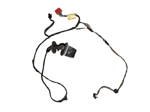 Faisceau électrique porte - de,