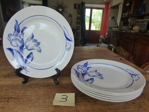 Lot assiettes plates - 6,