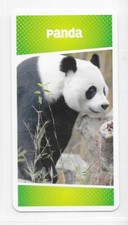 Carte Cartatoto - Panda