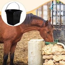 Mangeoire pour chevaux, seau