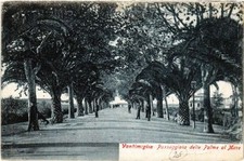 CPA AK VENTIMIGLIA La Passeggiata delle palme al mare ITALY (531080)