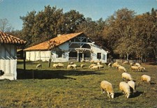 Parc Naturel Régional des LANDES DE GASCOGNE - Maison de maîtres dite "Marquèze"