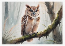 Tableau - création originale - Oiseaux - Chouette