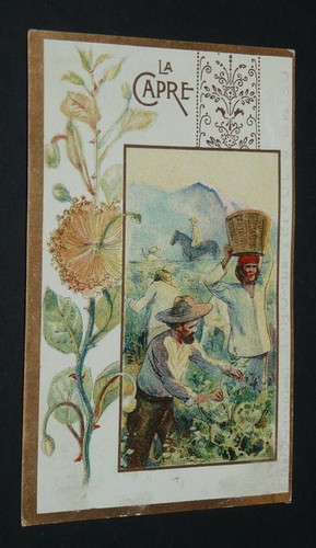 Chromo 1880 1890 cafe malt - cafe,