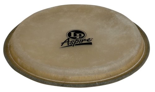Aspire bongo head - head,