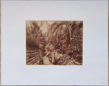 Emile Frechon Biskra Jeunes