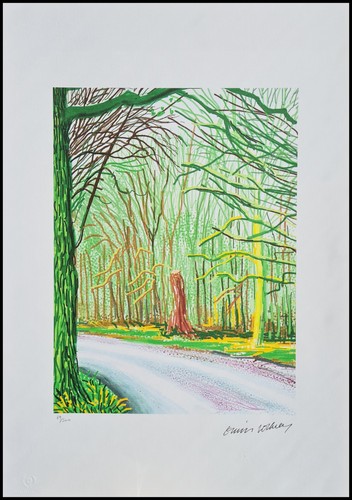 David hockney the - david, arrival